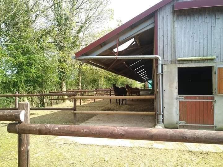 Chambres D'Hotes Du Ranch Callengeville Exterior photo